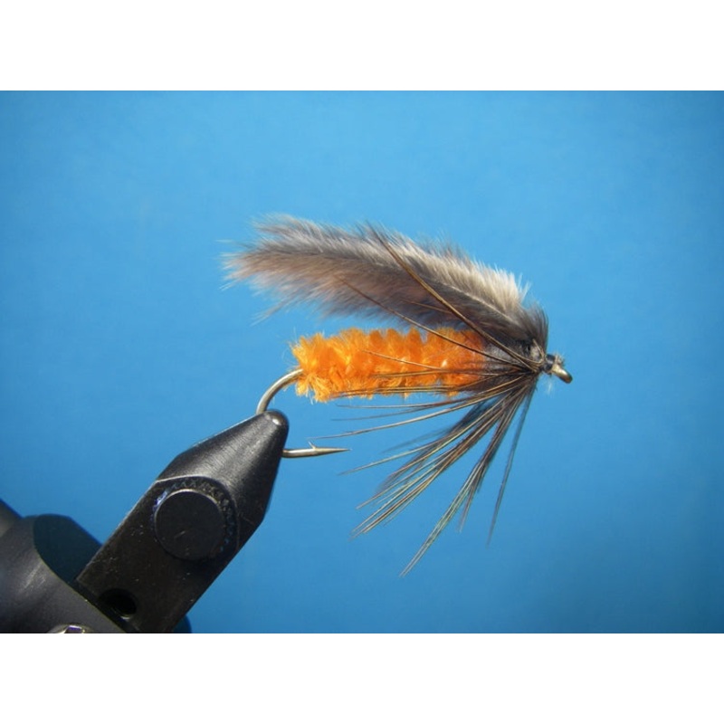 Septober Caddis