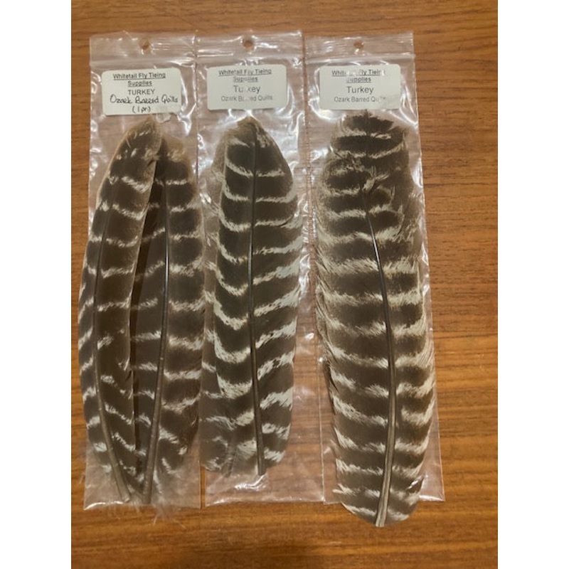 Turkey Quills Ozark Barred|Natural