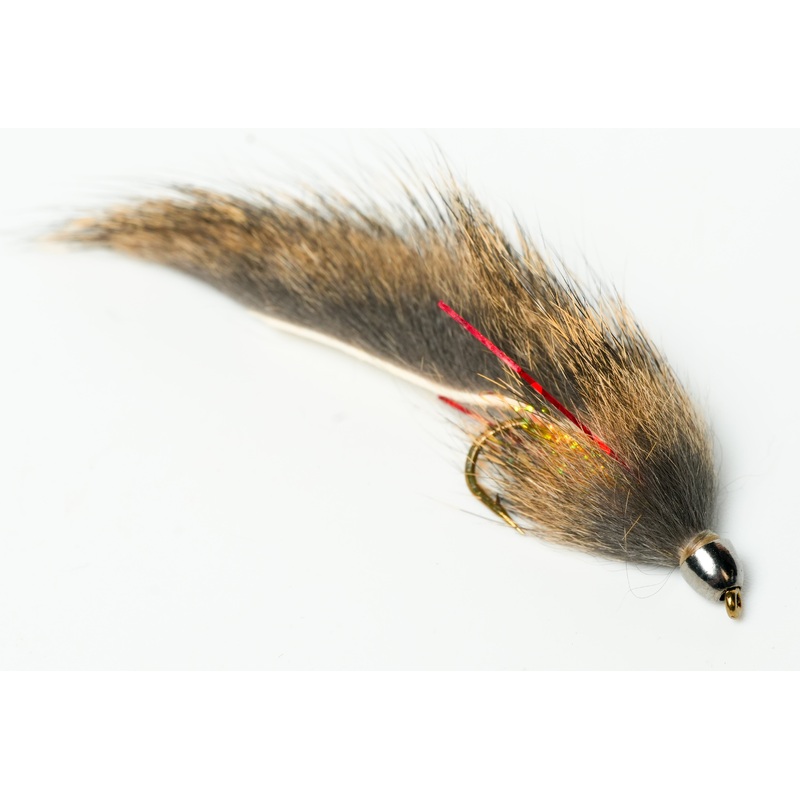 Wounded Sculpin