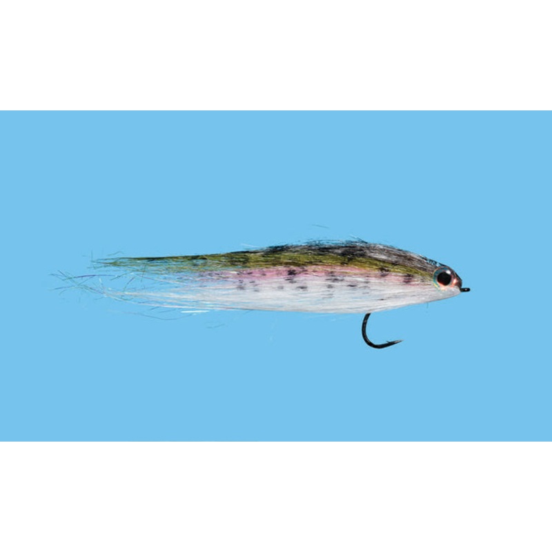 Baby Rainbow Trout