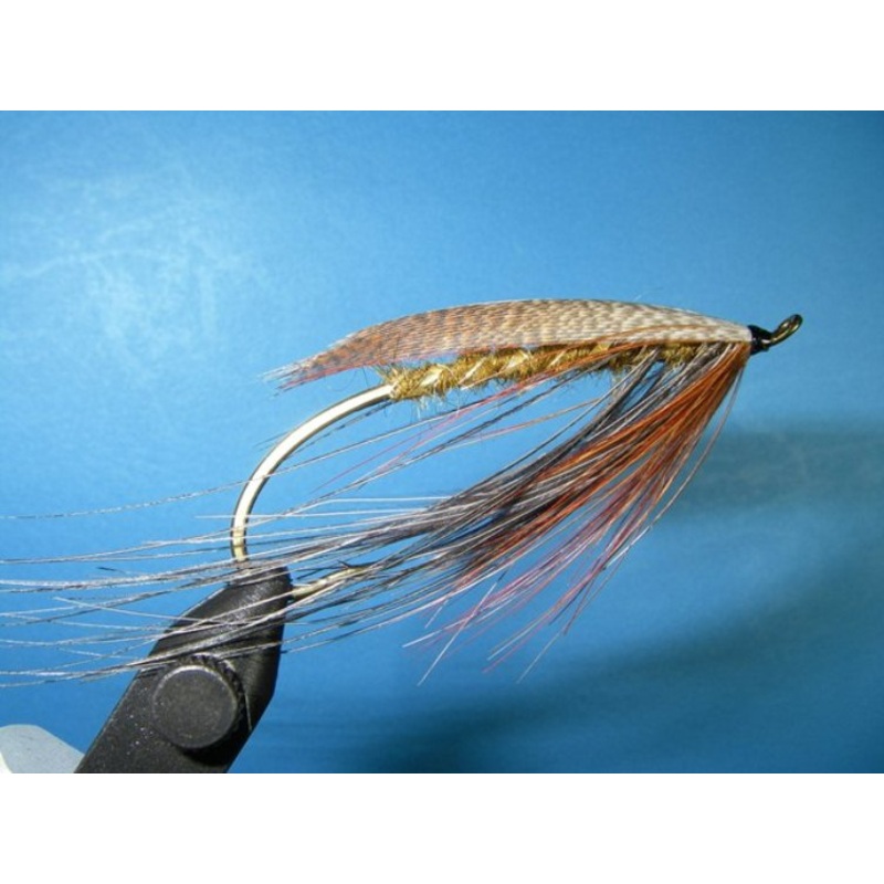 Lady Caroline – Alevras|6|8