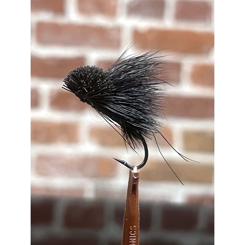 Laporte’s Bulkley Disco Mouse||4||6||8