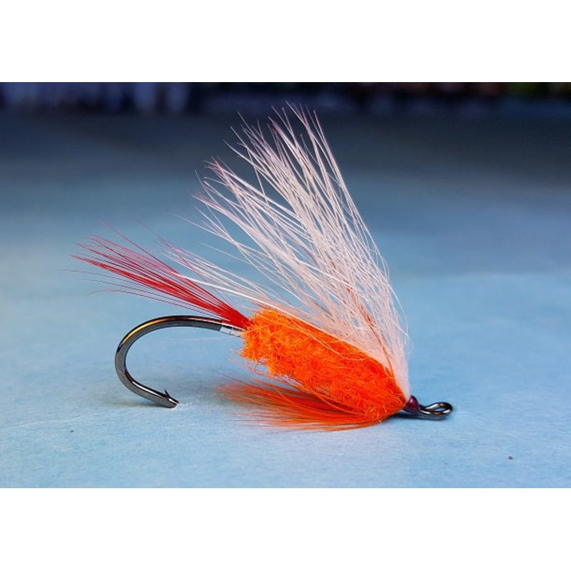 Polar Shrimp – Dahlquist