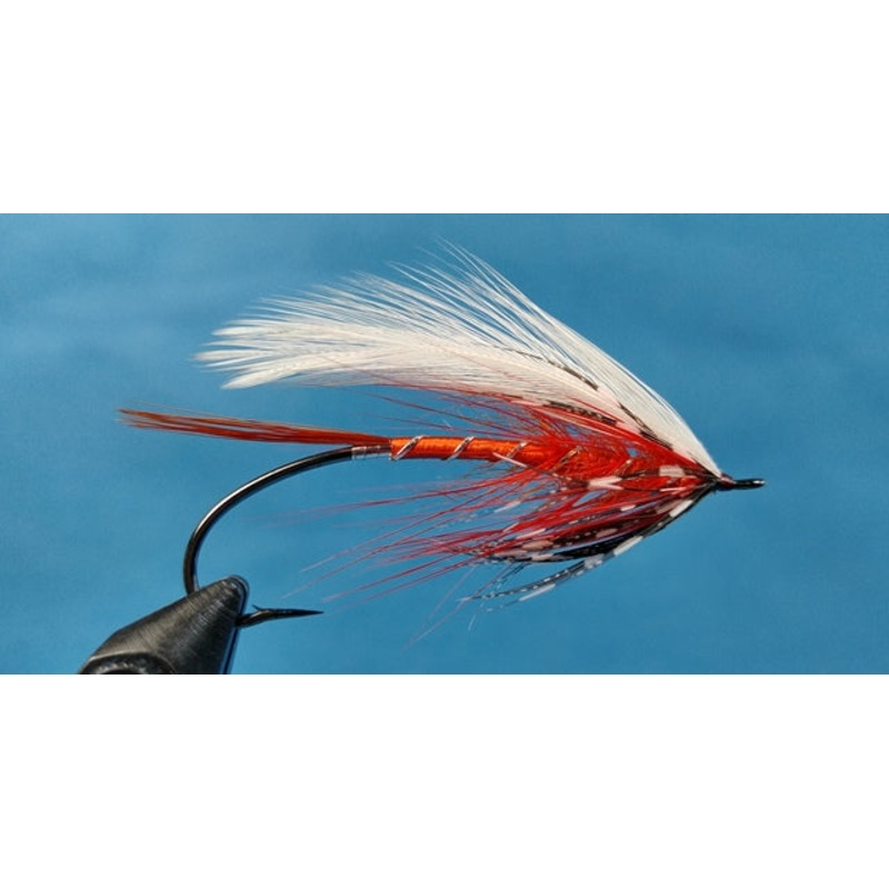 Polar Shrimp Spey – Dahlquist
