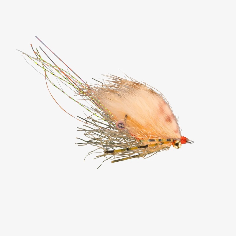 Rio’s Bone Doctor – Peach