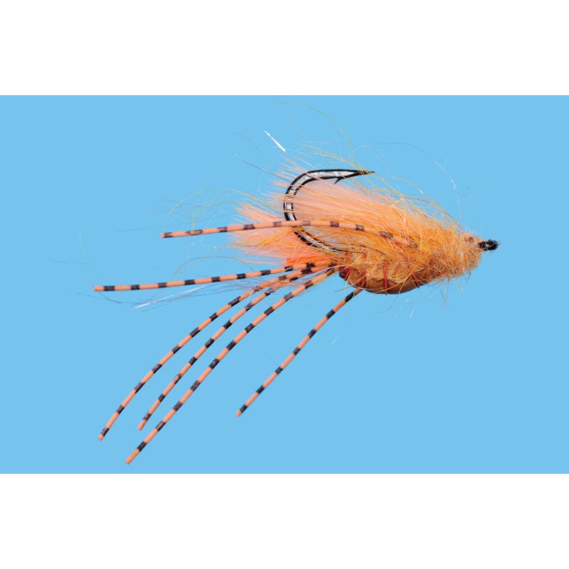 Belly Crawl Shrimp