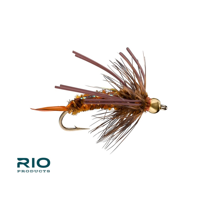 Rios Gold Speculator||10