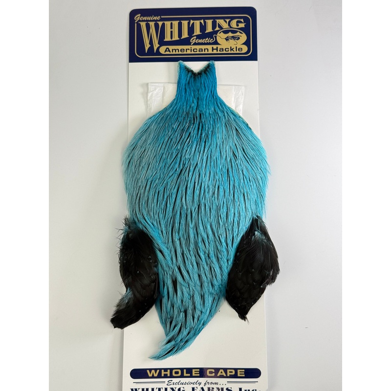 Whiting American Rooster Cape – Badger