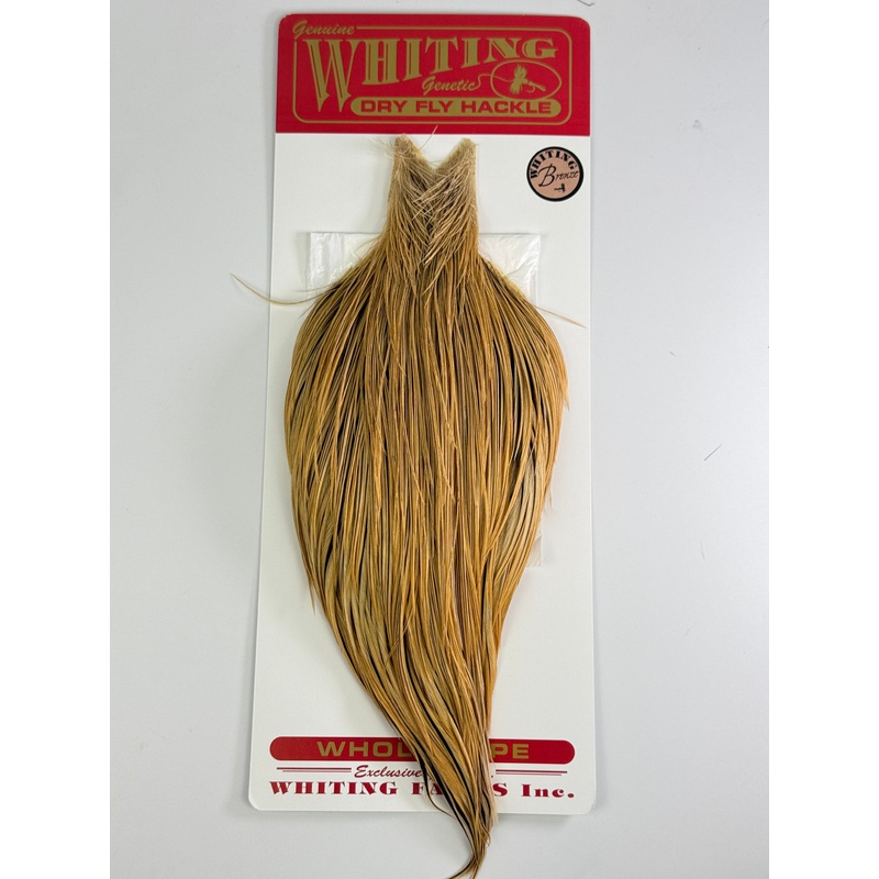 Whiting Bronze Cape Light Ginger