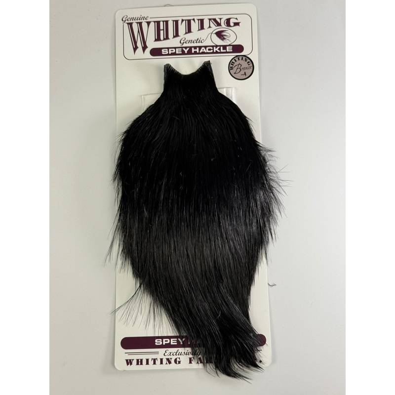 Whiting Bronze Spey Hackle Cape Black