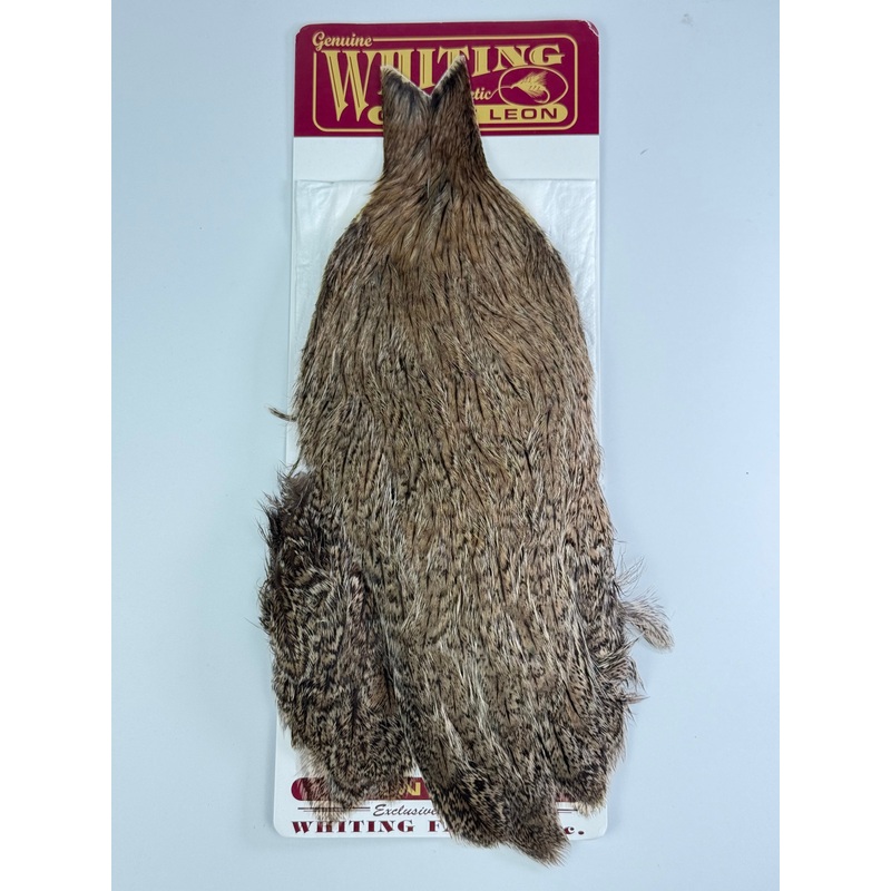 Whiting Coq de Leon Hen Cape Brown Speckled