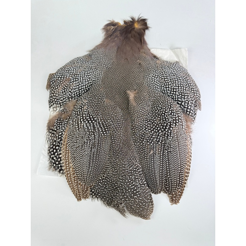 Whiting Guinea Fowl Medium Natural Gray Speckled