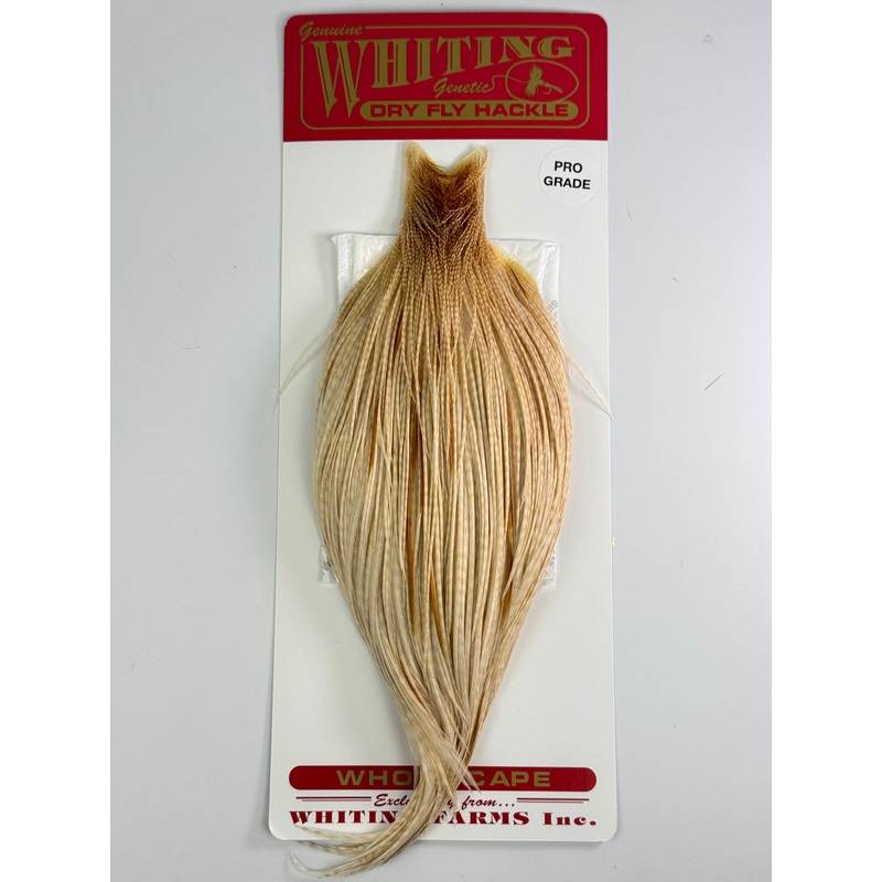 Whiting Pro Grade Cape Barred Medium Ginger