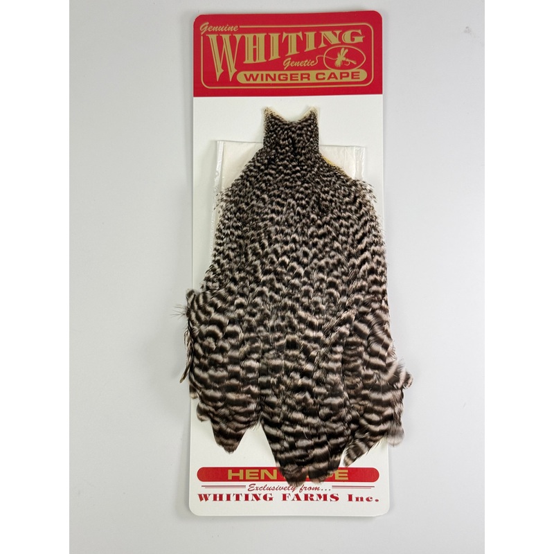 Whiting Winger Cape