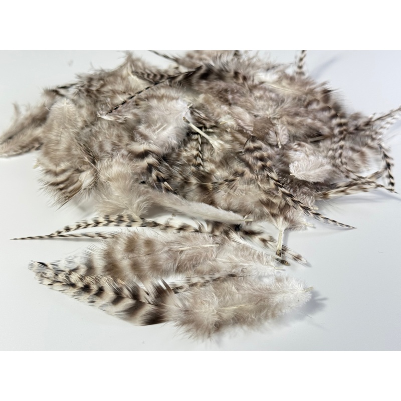American Saddle Hackle Grizzly Natural Loose