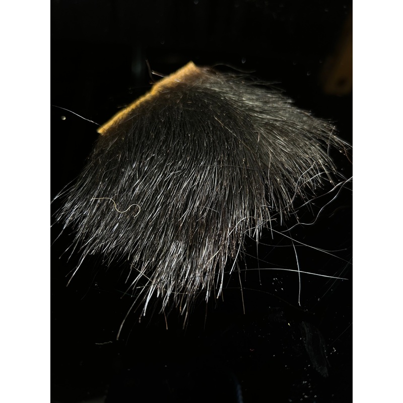 Black Bear Wing Fur