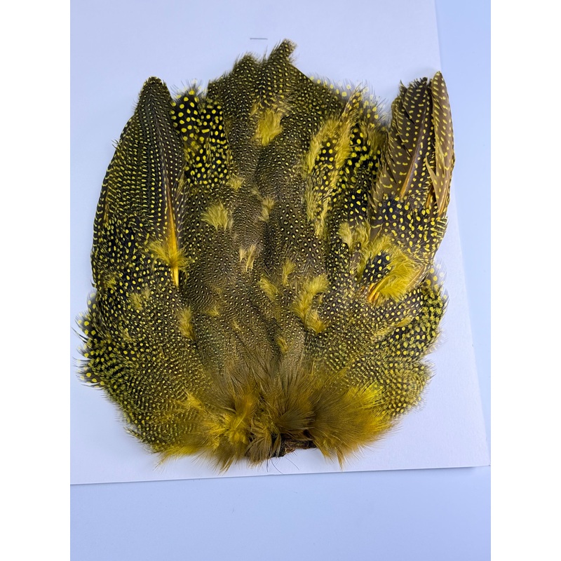 Guinea Skin dyed Yellow