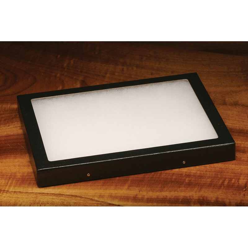 Large Fly Display Box 6X8