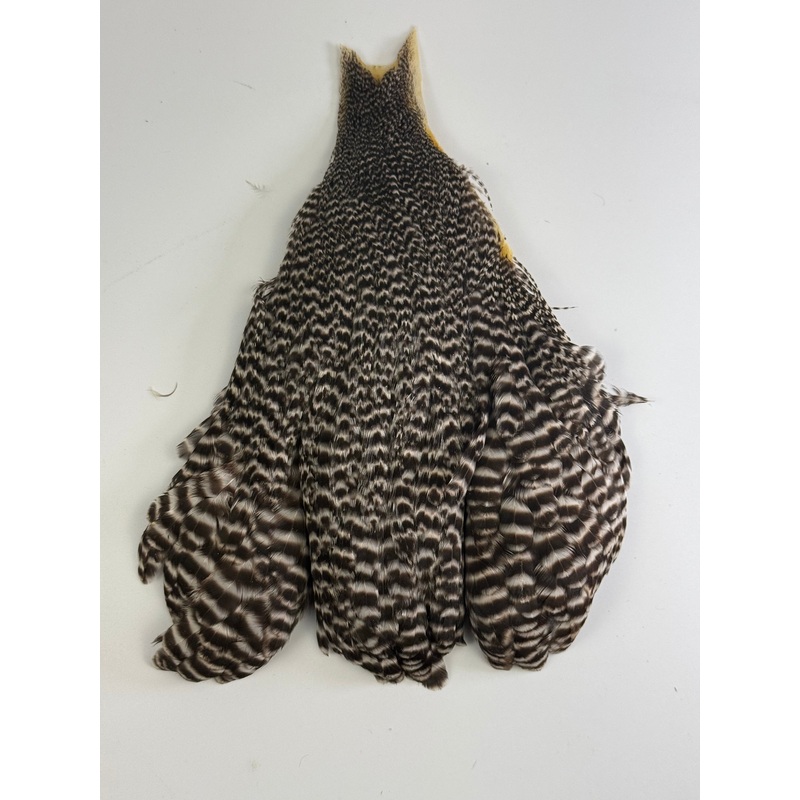 Metz Hen Neck – #1 Grizzly