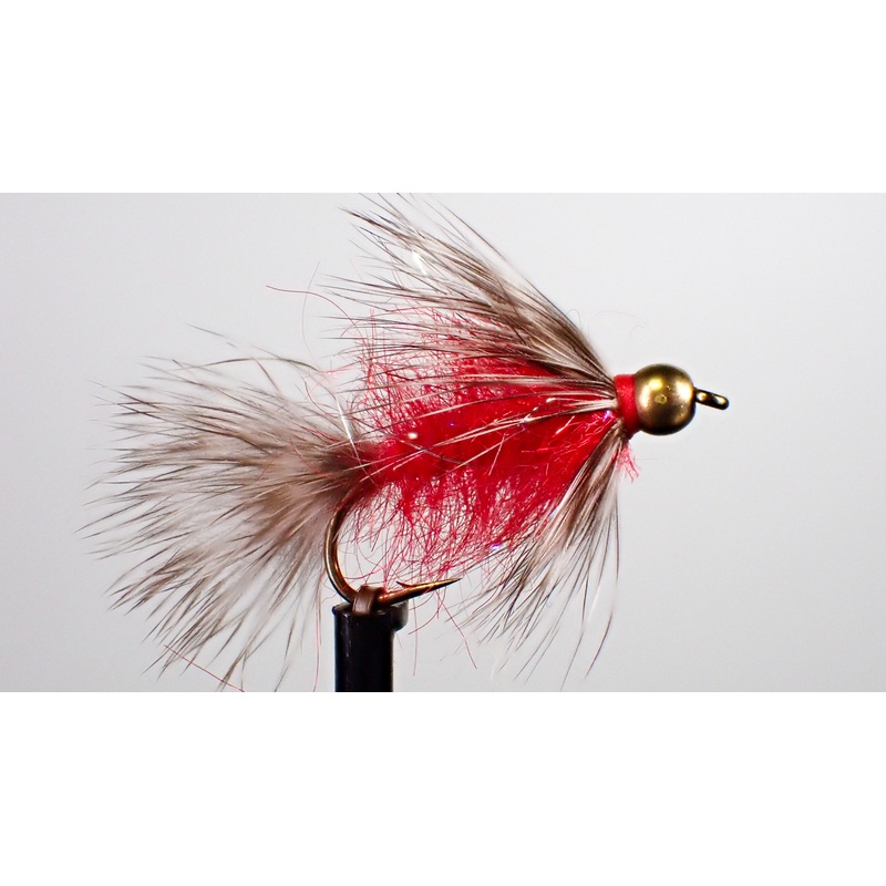 Morris’ Raccoon – Red