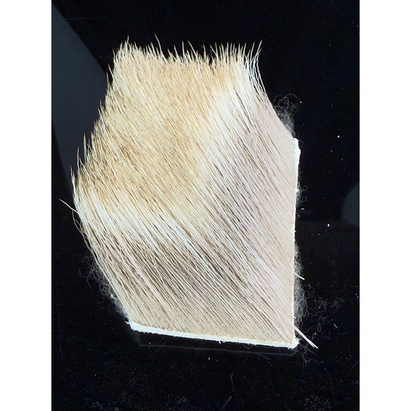 Primo Elk Hair 2×3 strip