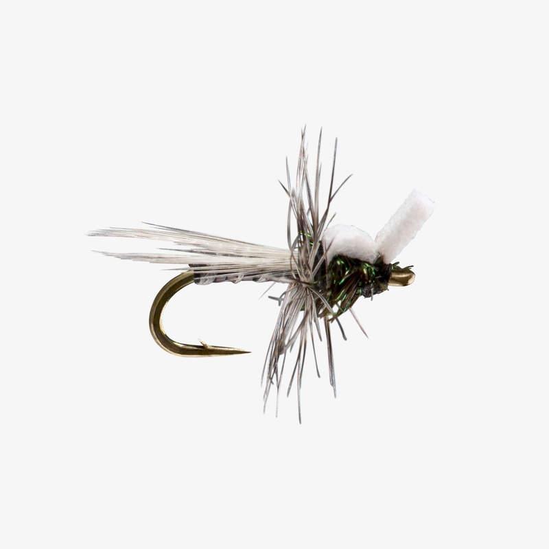 Stillborn Midge – Black||16||18