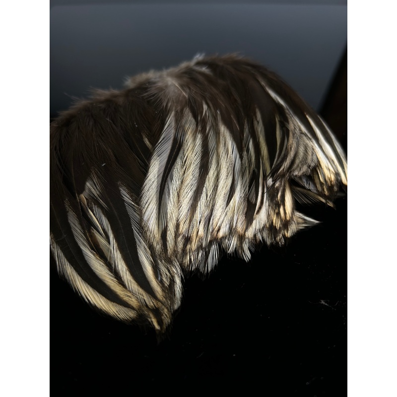 Strung Neck Hackle 4-6 Badger