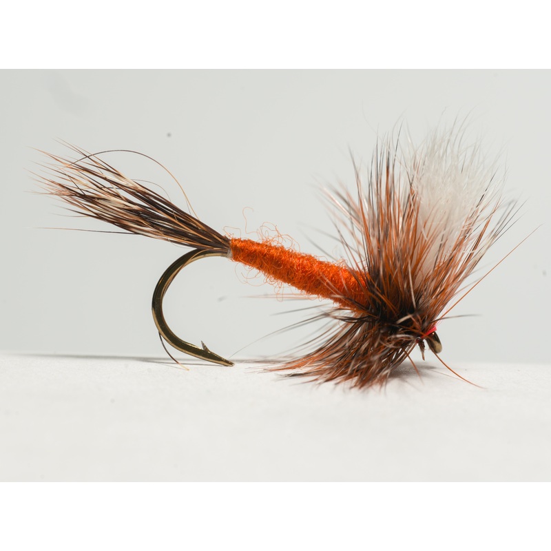 Ausable Wulff||12||10||14||16|Brown|White
