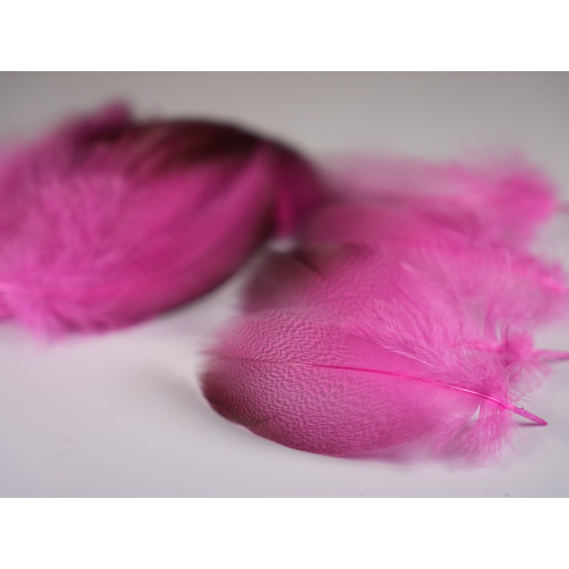 Bronze Mallard 24 Select Feathers