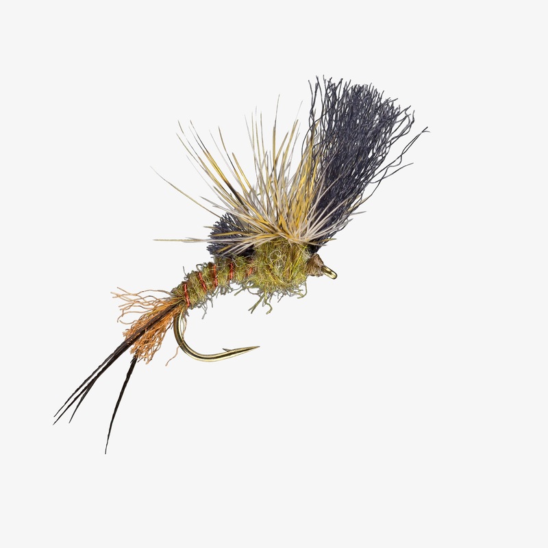 Film Critic – Green Drake