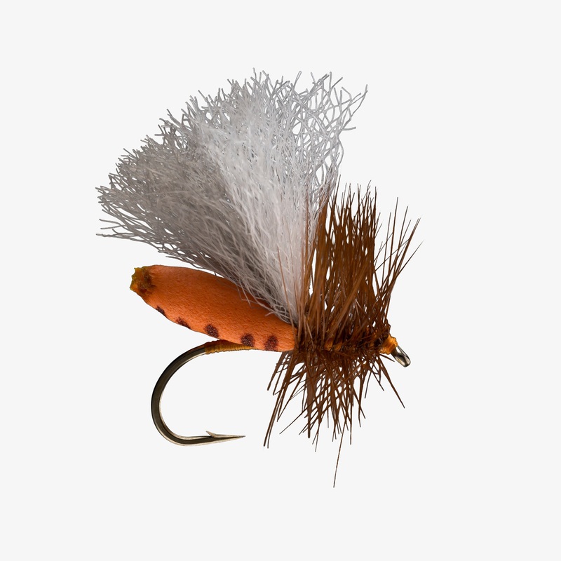 Foam Run Caddis|Orange||8
