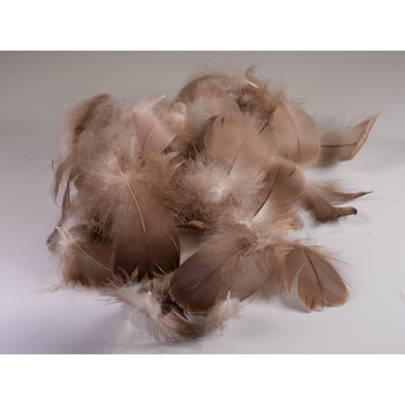 Goose Body Feathers