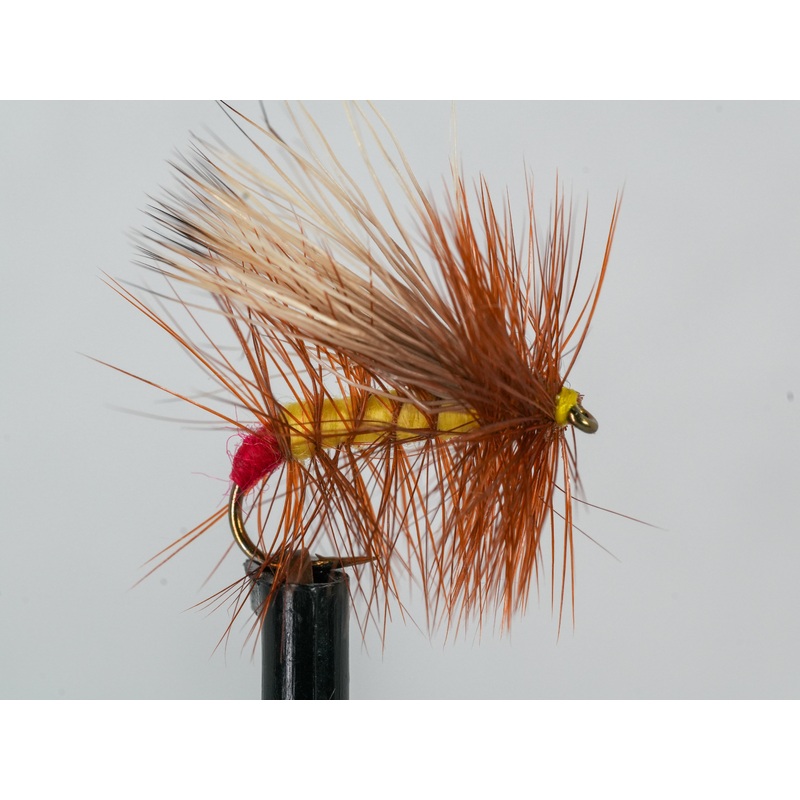 Henry’s Fork Yellow Sally||12||14