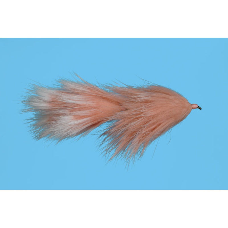 Lady Flesh Fly – Articulated