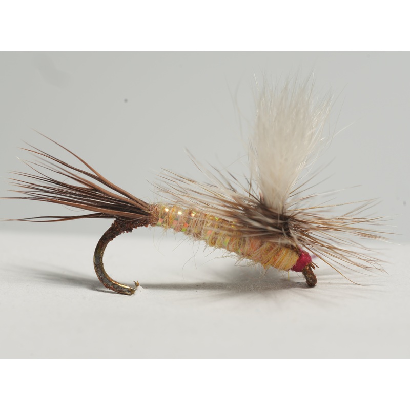 Para Ausable Wulff||14||16