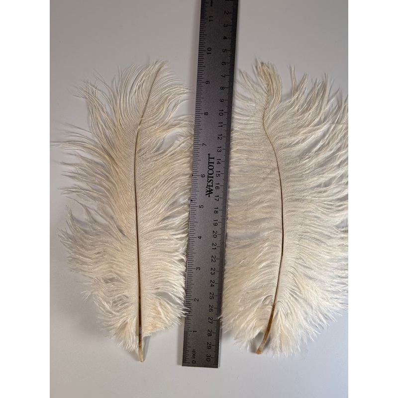 Trout Intruder Ostrich|White