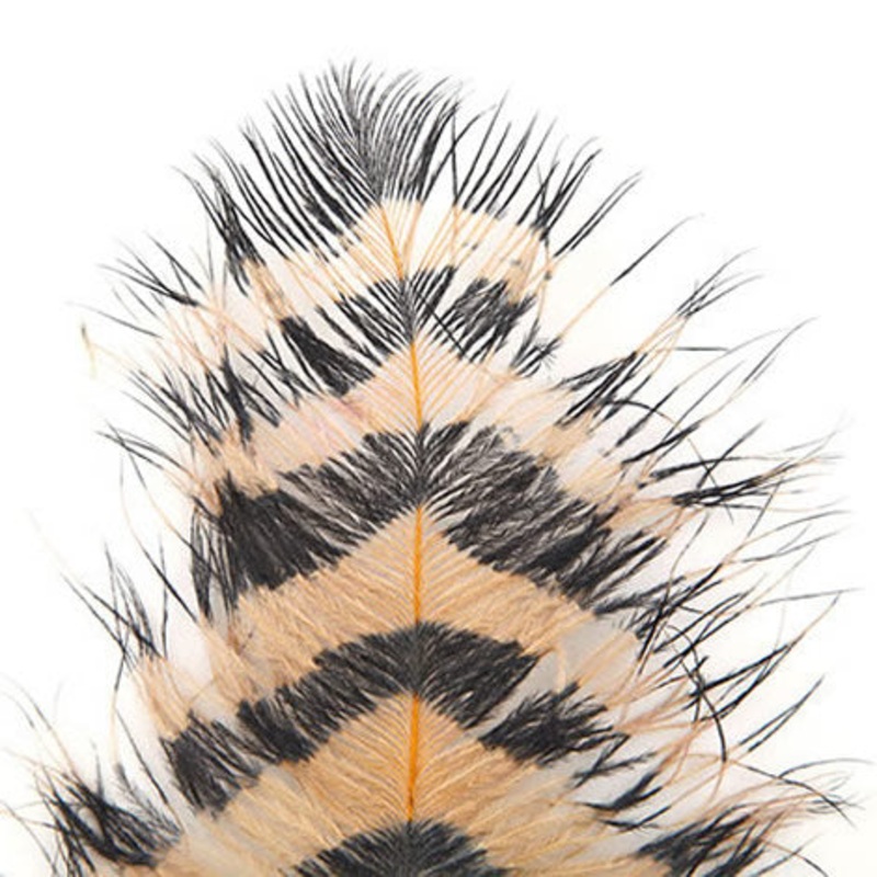 OPST Barred Ostrich Brown