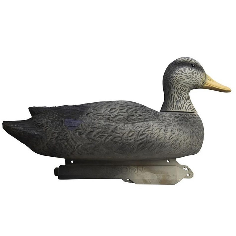 Battleship Black Duck