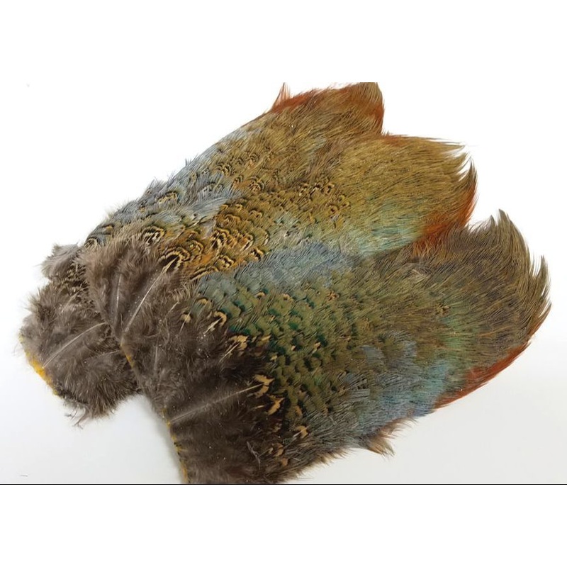 Ringneck Pheasant Rump|Natural|Black|Golden Yellow|Olive|Purple|Brown|Orange