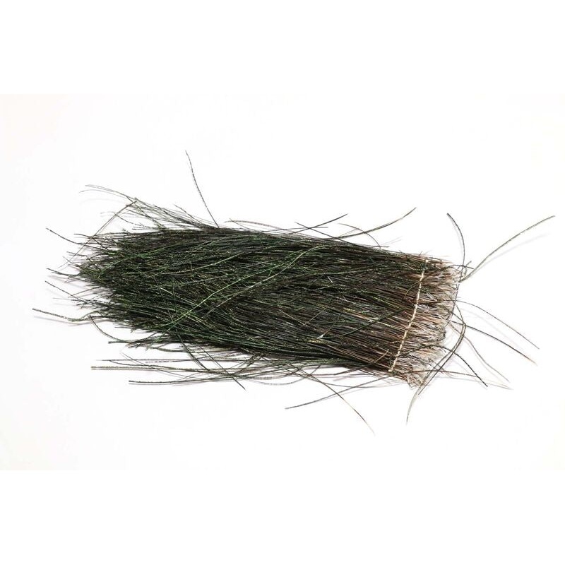 Strung Peacock Herl 5-7 Large Package