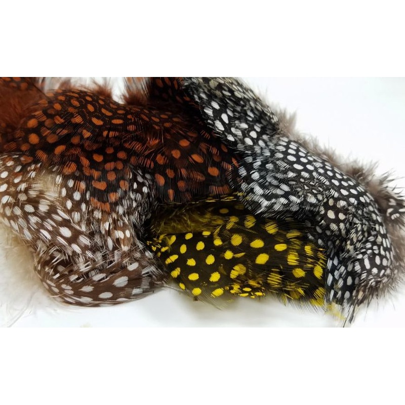 Large Dot Guinea|Fl. Chartreuse (UV)|Fl. Hot Pink (UV)|Purple (UV)|Wine|Hot Orange|Natural|Yellow Olive|Brilliant Blue|Hot Red|Lemon Yellow|Blue Turquoise (KFB)|Shrimp Pink|Medium Olive (UV)