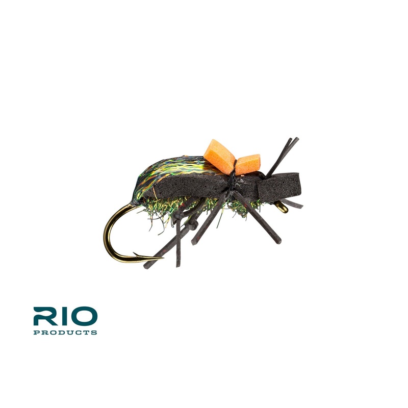 Rio’s Ground Beetle|8