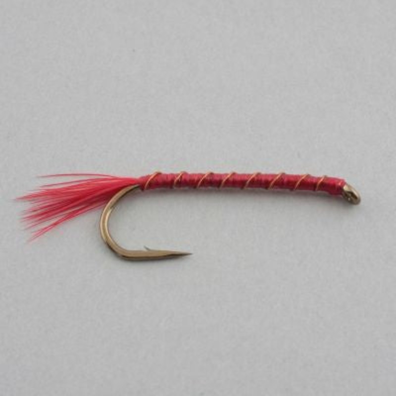BC Bloodworm|12|14