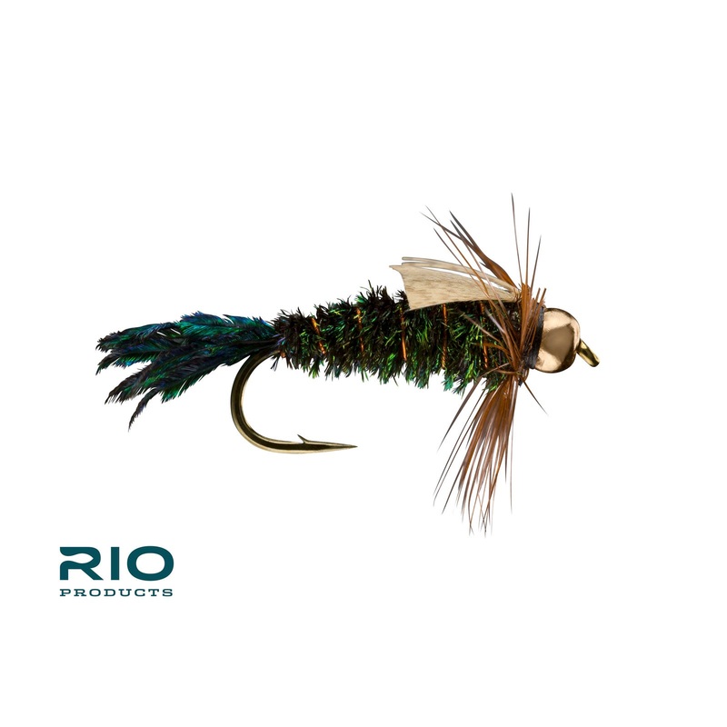 BH Zug Bug|14|16
