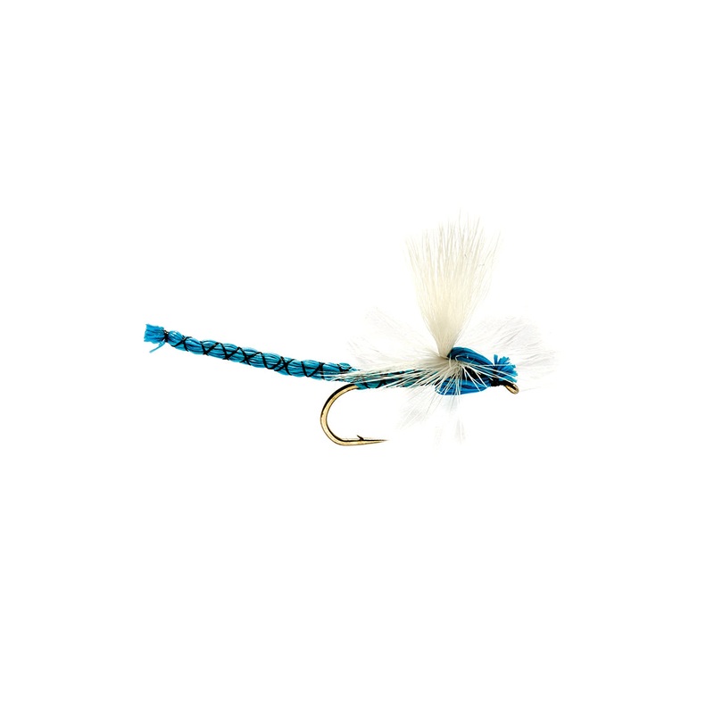 Blue Damsel|12