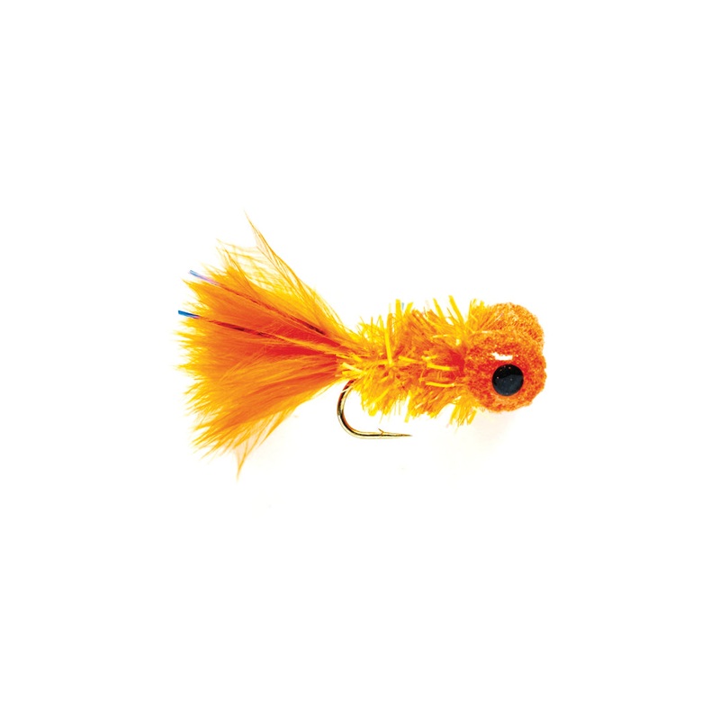 Cactus Orange|10