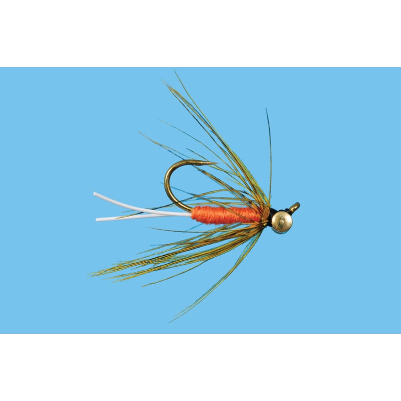 Carp Carrot|6