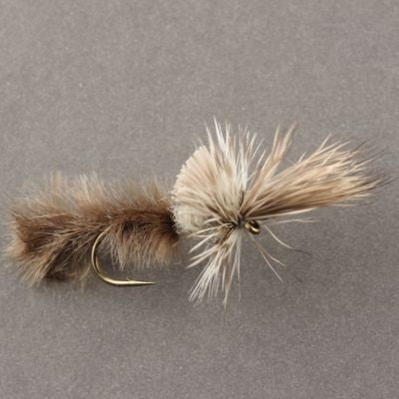 Cripple Callibaetis|14|16