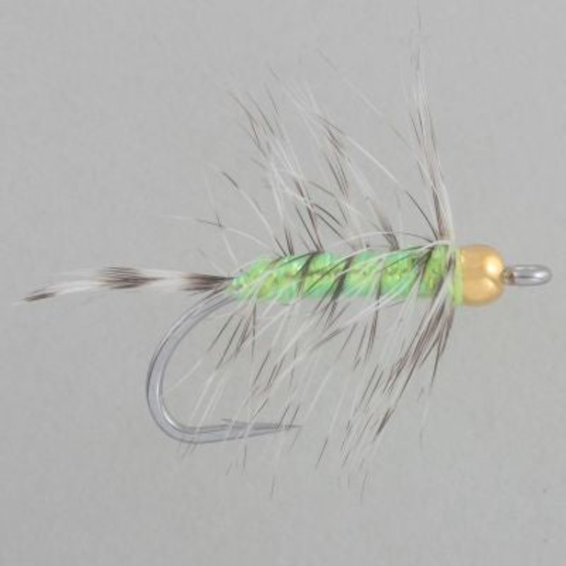 GB California Neil|6|Chartreuse