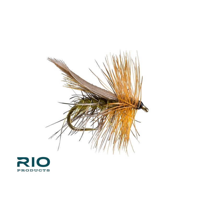 Henryville Special|16